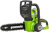 Greenworks G40CS30 Akku Kettensäge, 30...